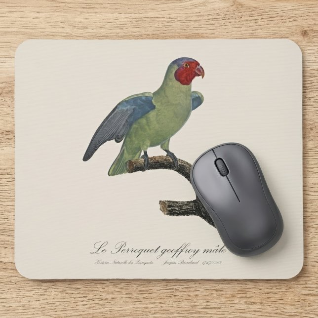 Rödkind papegoja, Geoffroyus geoffroyi Musmatta (Male Red-Cheeked Parrot, Geoffroyus geoffroyi. Mouse Pad)