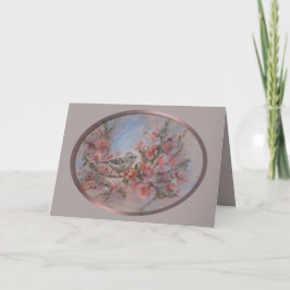 Rödkindad kungsfågel kort