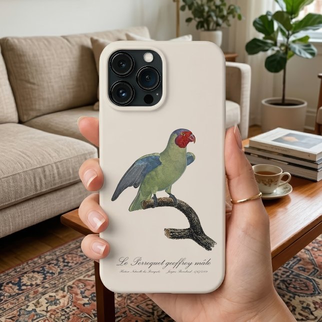 Rödkindad papegoja, Geoffroyus geoffroyi (Male Red-Cheeked Parrot, Geoffroyus geoffroyi. iPhone Case)