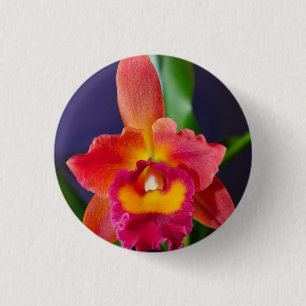 Rödknapp och knapp för Orchid-stift för Orange