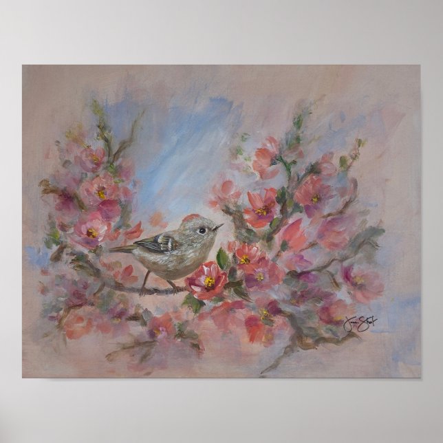 Rödkronad kungssångare poster (Framsidan)