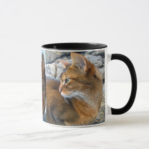 Rödlätt Abyssinian kvinnlig katt Mugg