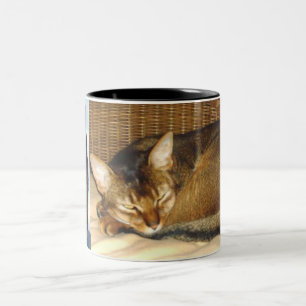 Rödlätt päls för Abyssinian katt Två-Tonad Mugg