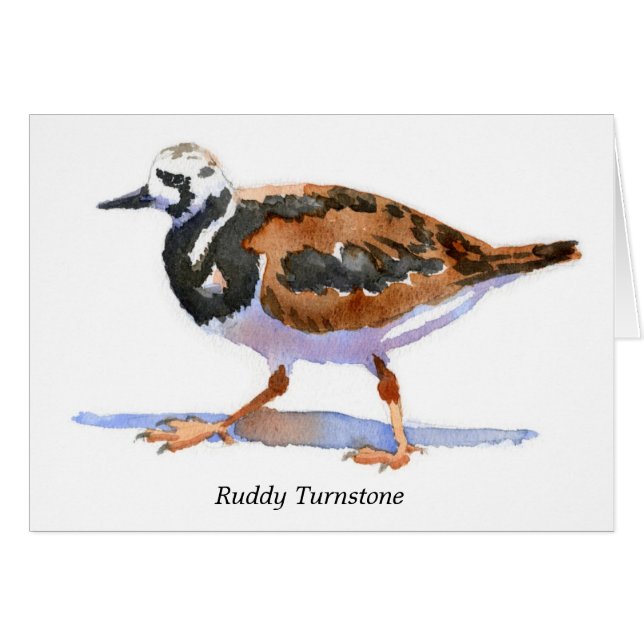Rödlätt Turnstone OBS Kort (Framsidan Horizontal)