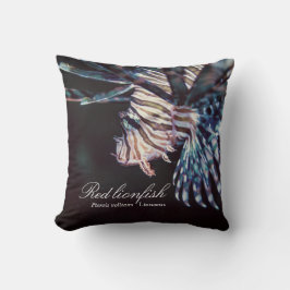 Rödlionfisk (Pterois volitans ,Linnaeus, 1758) Kudde