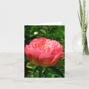 "RODNA DEN ROSA PIONEN" NOTECARD (PHOTOG) KORT