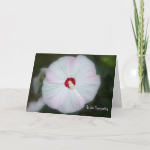 Rodna hibiskuskort kort