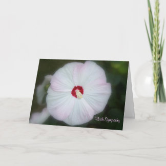Rodna hibiskuskort kort