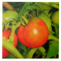 Rodna skönhetkök belägga med tegel/Trivet