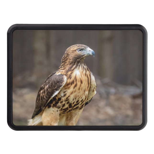 Rödnäbbad hök i Hudson Valley Dragkroksskydd (Framsidan)