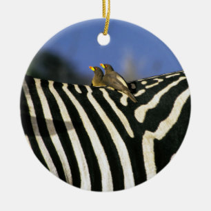 Rödnäbbad oxpeckerfågel på ett Zebra-bak-Zimbabwe Julgransprydnad Keramik