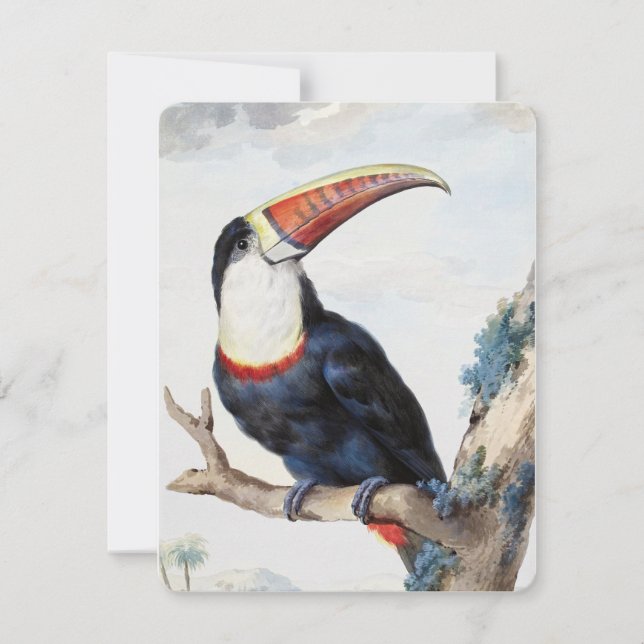 Rödnäbbad Toucan (1748) av Aert Schouman Inbjudningar (Framsida)