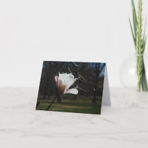 Rodnad Magnolia Blommar Finkonst Notkort – Elegant