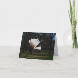 Rodnad Magnolia Blommar Finkonst Notkort – Elegant Tack Kort
