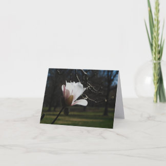 Rodnad Magnolia Blommar Finkonst Notkort – Elegant Tack Kort