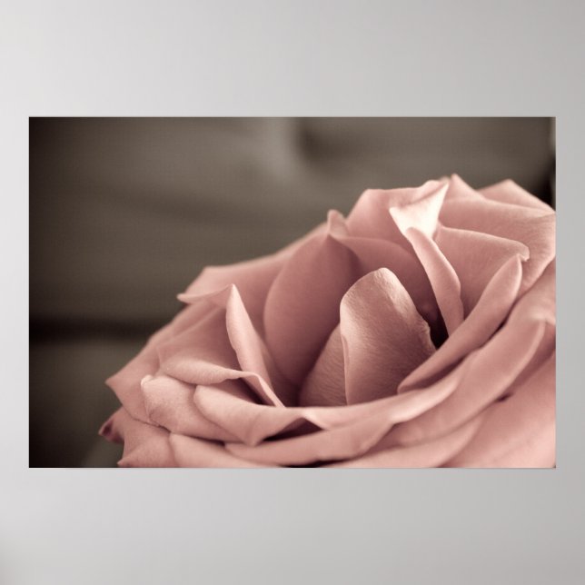 Rodnad Poster (Framsidan)