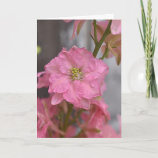Rodnad Vördnad – Rosa Blommakroflora Kort
