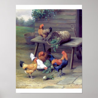 Rödnosgård i tupp poster