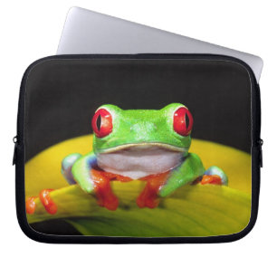 Rödögd lövgroda, Agalychinis callidryas, Inhemsk Laptop Sleeve
