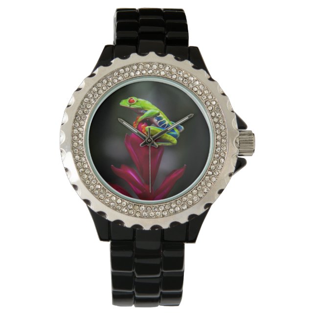 Rödögd lövgroda armbandsur (Framsida)