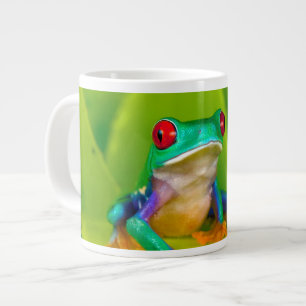 Rödögd lövgroda, Costa Rica Jumbo Mugg