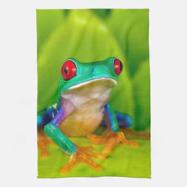 Rödögd lövgroda, Costa Rica Kökshandduk (Vertikal)