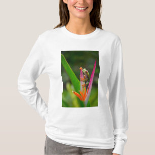 Rödögd lövgroda, Costa Rica T-shirt