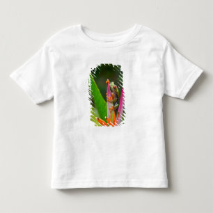 Rödögd lövgroda, Costa Rica T Shirt