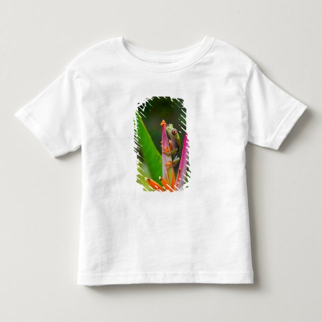 Rödögd lövgroda, Costa Rica T Shirt (Framsida)