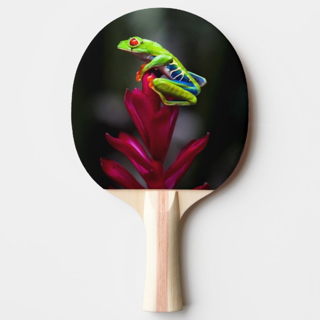 Rödögd lövgroda pingisracket (Framsidan)