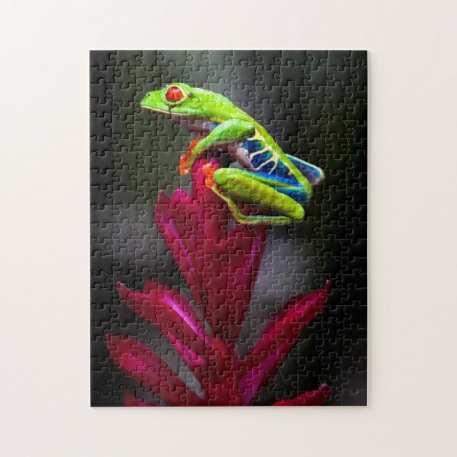 Rödögd lövgroda pussel (Vertikal)