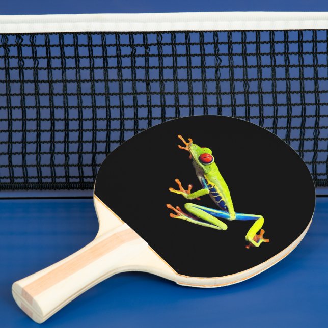 Rödögd målad trädgroda  pingisracket (Insitu)