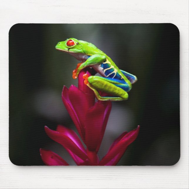 Rödögd Träd Frog Musmatta (Framsidan)