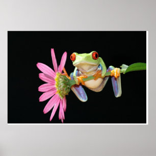 rödögd träd groda poster