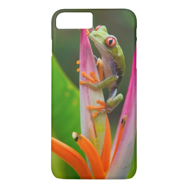 Rödögd trädfrosk, Costa Rica Case-Mate iPhone Skal (Baksida)