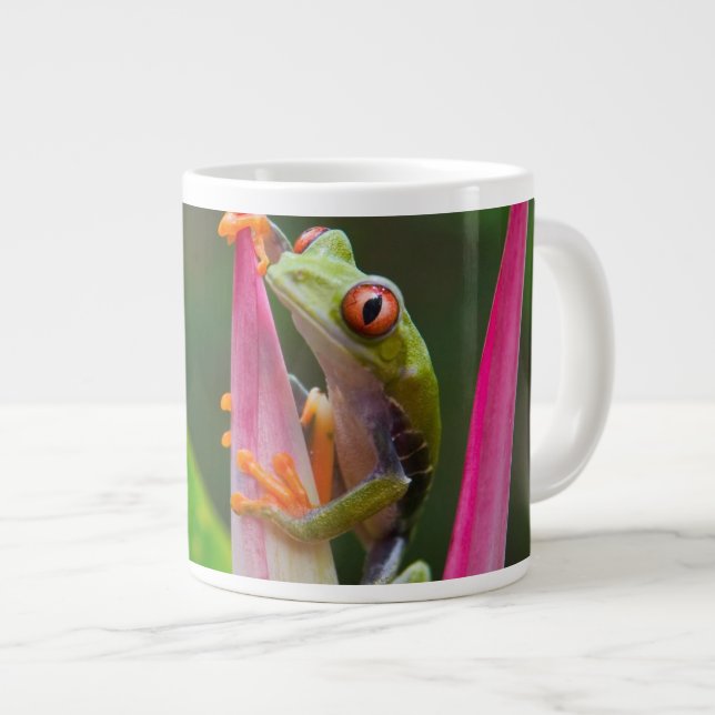 Rödögd trädfrosk, Costa Rica Jumbo Mugg (Framsida höger)