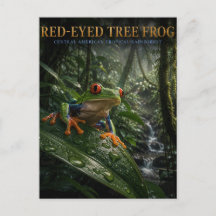 Rödögd Trädgrodas Regnskog DJUR