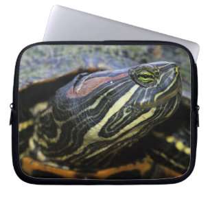 Rödöronad vattensköldpadda, Trachemys scripta eleg Laptop Sleeve