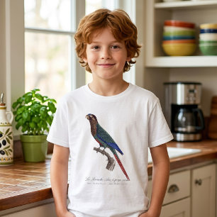 Rödpannad parakit, Pyrrhura Picta T Shirt