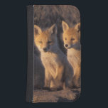 rödräv, vulpes vulpes, kit galaxy s4 plånbok<br><div class="desc">rödräv,  vulpes vulpes,  kit utanför deras den,  1002 kustslätter av Arktis National Wildlife Refuge,  Alaska � Steven J. Kazlowski / DanitaDelimont.com</div>
