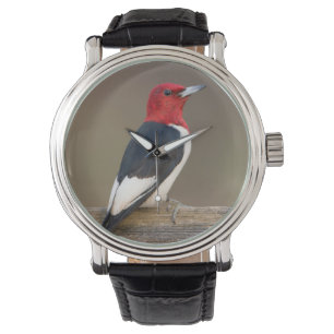 Rödskallig Woodpecker på stängsel Armbandsur