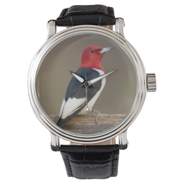 Rödskallig Woodpecker på stängsel Armbandsur (Framsida)