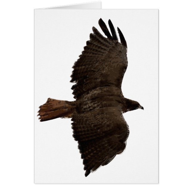 Rödsketch-svan Hälsningskort (Framsidan)