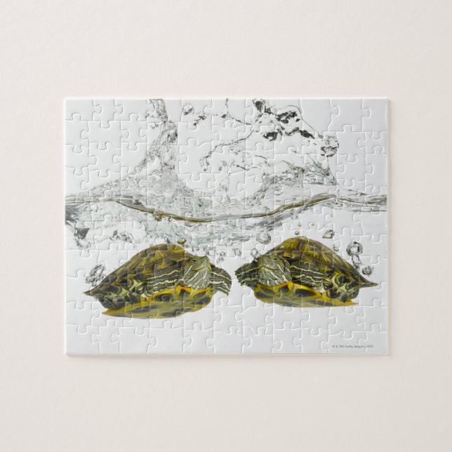 Rödsköldpaddor Pussel (Horisontell)