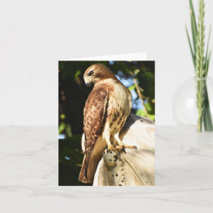 Rödskräddarsydd Hawk #1 - Tomt anteckningskort