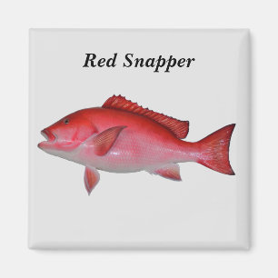 Rödsnapperfiskbakgrund Magnet