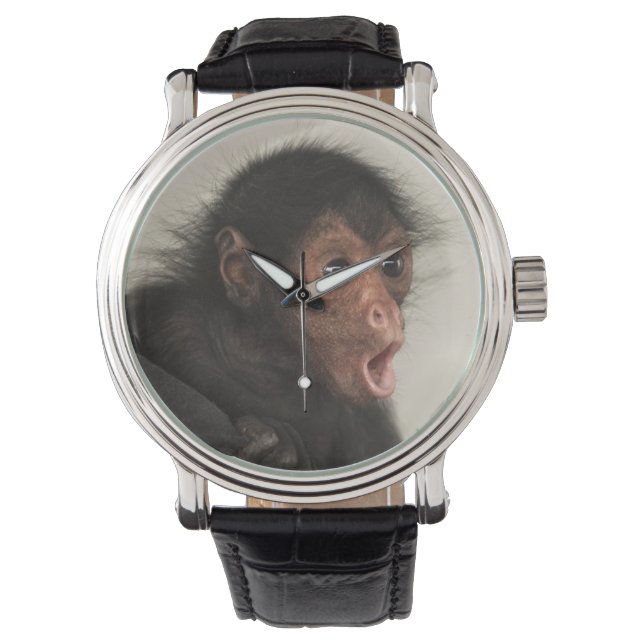 Rödspindelape (Ateles paniscus) Armbandsur (Framsida)