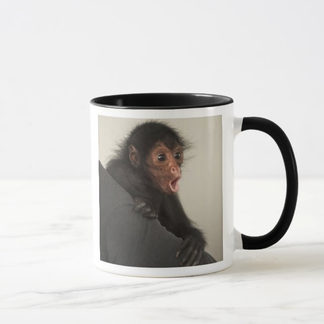 Rödspindelape (Ateles paniscus) Mugg (Höger)