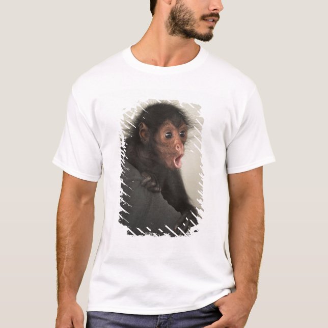 Rödspindelape (Ateles paniscus) Tee (Framsida)