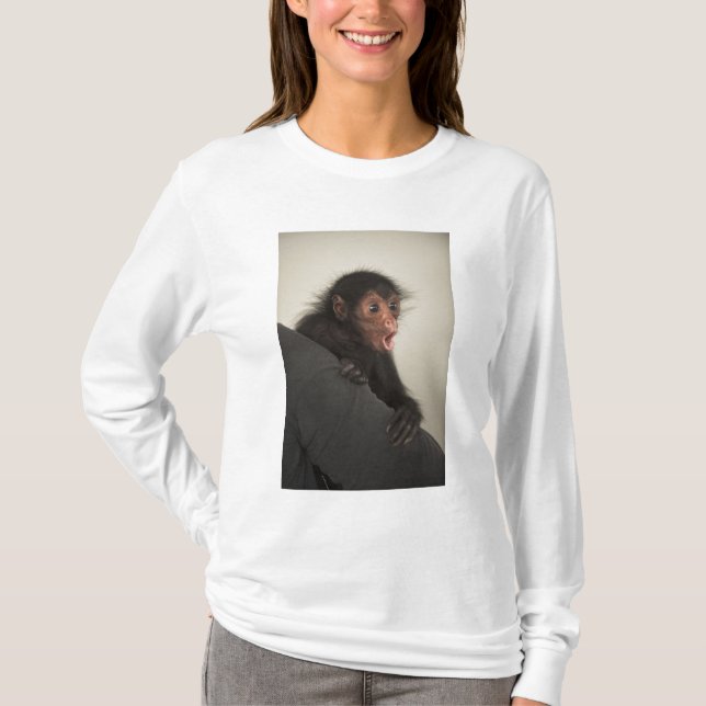 Rödspindelape (Ateles paniscus) Tee Shirt (Framsida)